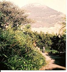 ORAN PROMENADE DE L ETANG 2